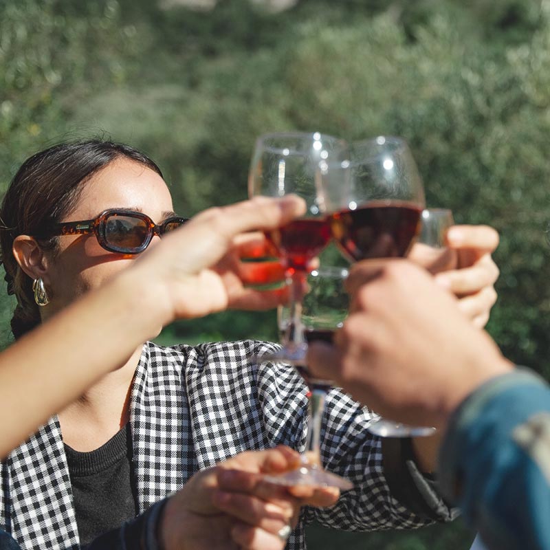 Dégustation et wine tours au départ de Béziers